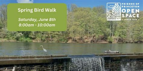 Spring Bird Walk with Winnie Hughes Spar // 6.8.24, Mountain Lakes ...