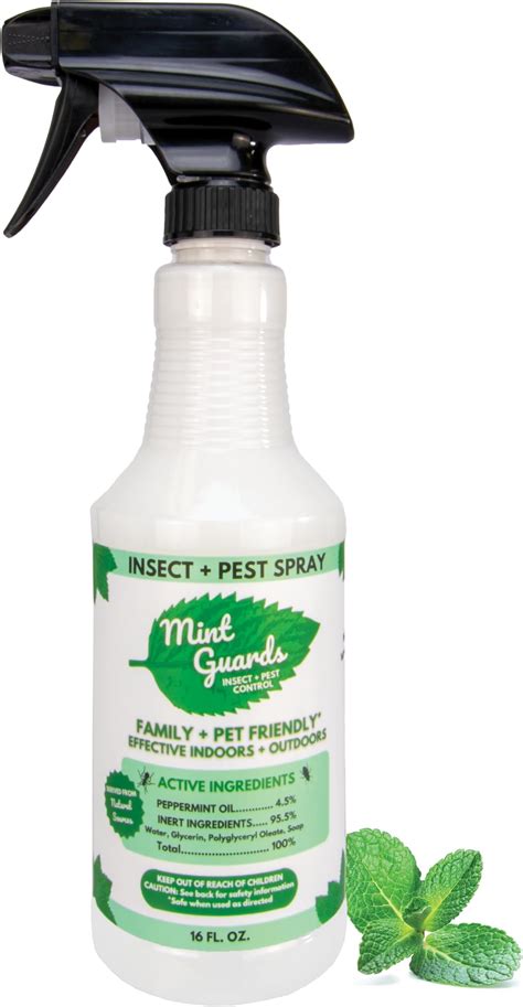 Amazon.com: Minty Insect & Pest Control, Powerful & Natural 5% ...