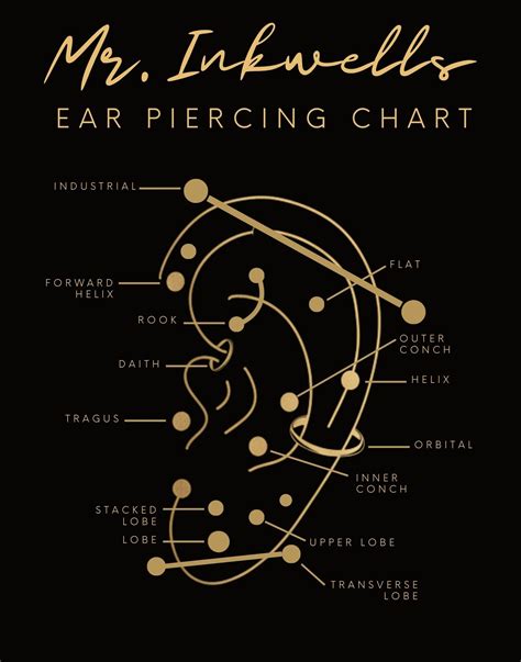 Leppe Piercing Diagram