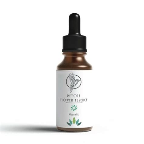 Natural 25ml Peyote Flower Essence for Holistic India | Ubuy