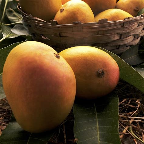 Get Farm-Fresh Mangoes From These Places I LBB, Mumbai