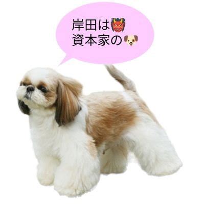 Image result for DataList Using HTML
