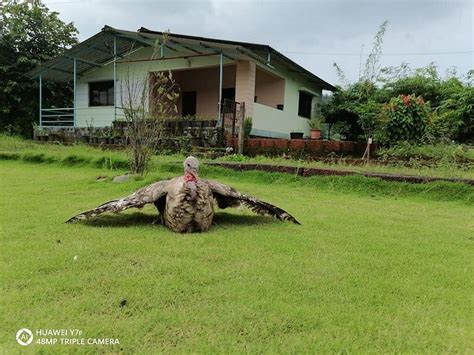 RAIGAD AGRO PARK (Betkar Kond) - Hostel Reviews, Photos, Rate ...