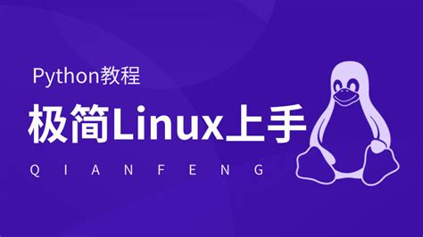 Python Videotutorial 的图像结果