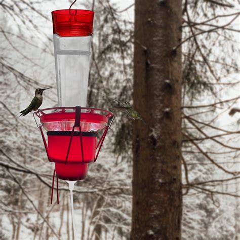 Hummingbird Feeder Heater for Winter Outdoors, Heated Hummingbird ...