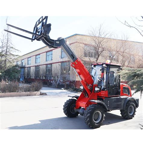 Image result for Everun Telehandler
