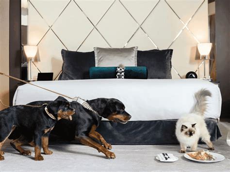 Offers - Paradox Hotel Vancouver