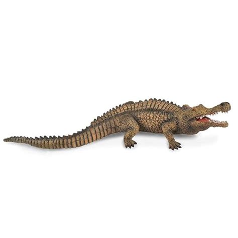 Collecta Prehistoric Life Sarcosuchus Toy Dinosaur Figure - Authentic ...