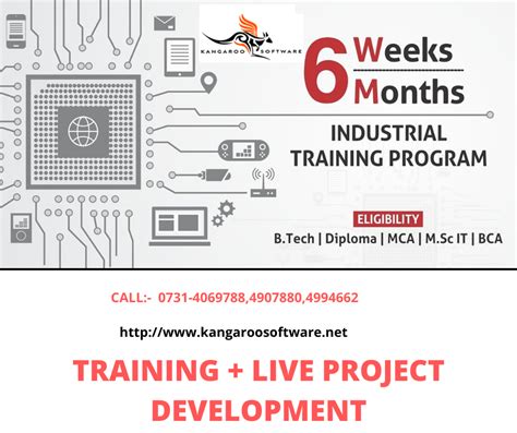 Singleton Class in Java 的图像结果