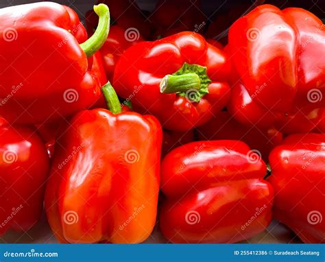 Colorful of Sweet Bell Peppers in the Basket Stock Photo - Image of ...