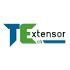 Working at Tech extensor | Glassdoor