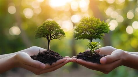 Environment Setting 的图像结果