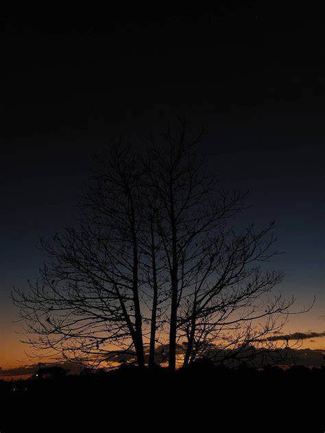 Capture the night with Galaxy Phone - Samsung Members