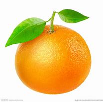 橙子 的图像结果