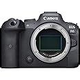 Buy Canon EOS R6 20 Megapixels Mirrorless Camera (Black) Online at Low ...