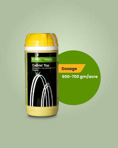 Buy Basf Cabrio Top Fungicide | Systemic & Contact Fungicide | BigHaat