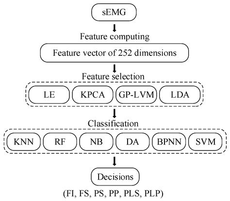Exploration of Feature Extraction Methods and Dimension for sEMG Signal ...