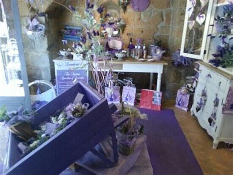 LAVANDA DEL LAGO (2026) All You Need to Know BEFORE You Go (with Photos ...