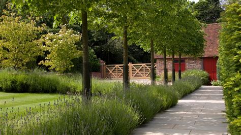 Image result for Landscaping Timber around Tree