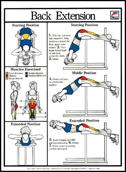 Image result for Back Extension Exercise Instructions