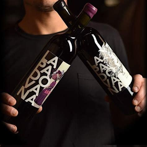 El juego de los Sabores en Lujan de Cuyo by Gabriel Ferreira, Bodega ...