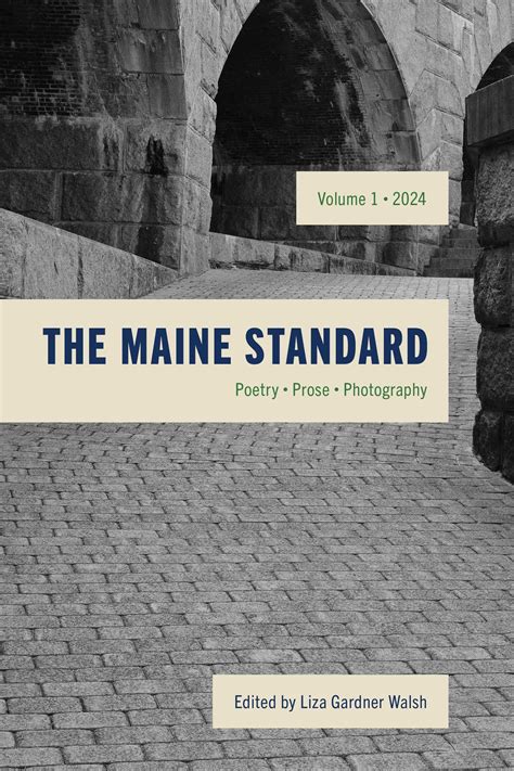 The Maine Standard Vol. 1 eBook by Liza Gardner Walsh | Official ...