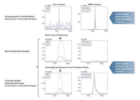 Forensic Science Using GC/MS 的图像结果