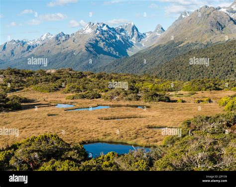 View of Little Mountain Lake and Ailsa Mountains, Key Summit Track ...