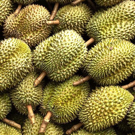 Jackfruit Versus Doerian Durian Vs Jackfruit: What's The Difference?