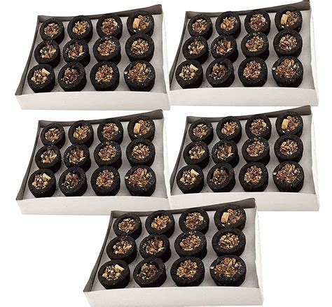 Shiv Darshan Loban Sambrani Dhoop Cup with Burner Plate, Pure Sambrani ...