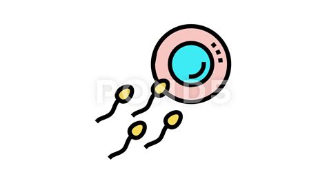 Sperm And Egg Meet Cartoon