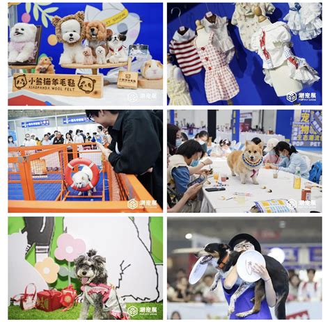 宠博会送什么礼物最新素材