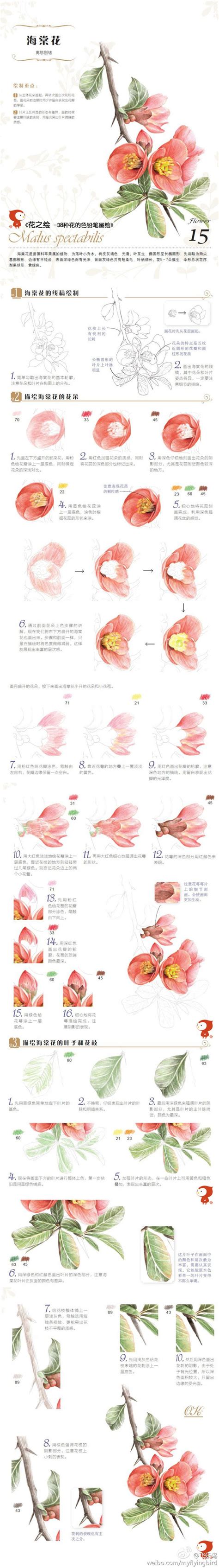 Tutorial Coler Draw 的图像结果
