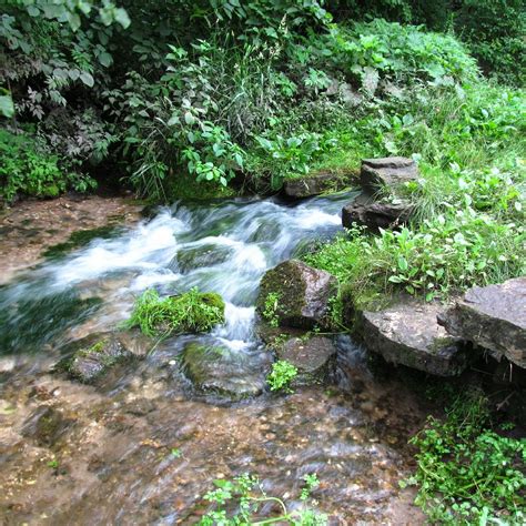 Backbone State Park - All You Need to Know BEFORE You Go (2025)