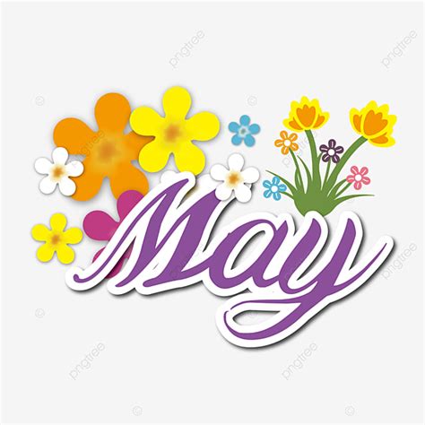 May Flower Clipart Transparent Background, Flower Decoration White ...