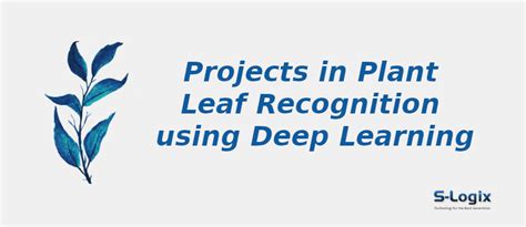 Python Projects in Plant Leaf Recognition using Deep Learning | S-Logix