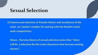 Image result for Introduction to Computer Science