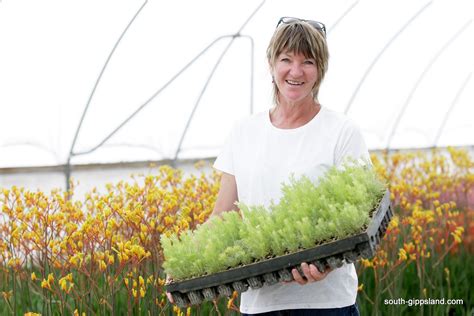 Perth’s Native Plant Nursery: Your Guide to Unique Australian Flora