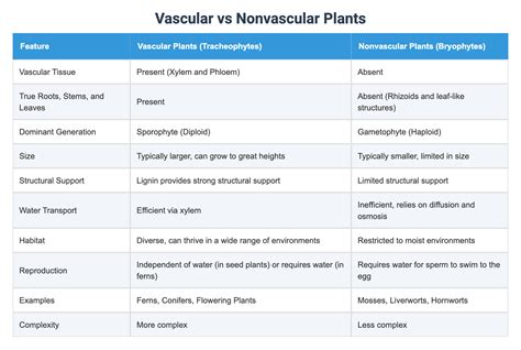 Are Plants Vascular Or Nonvascular? A Simple Guide