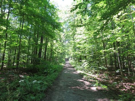 THE 10 BEST Places to Visit in Sainte-Anne-de-Bellevue (2026)