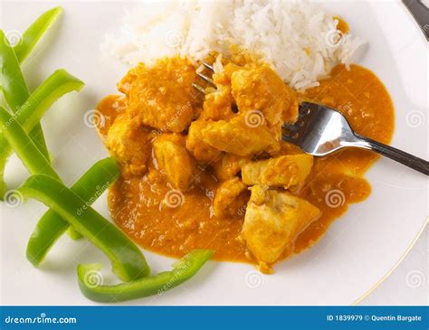 Thai Chicken peanut curry stock image. Image of fork, food - 1839979