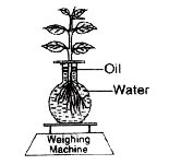 The diagram below represents a process in plants. The setup was placed ...
