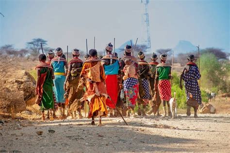 SAFARI TRIPS IN KENYA (2026) All You Need to Know BEFORE You Go (with ...