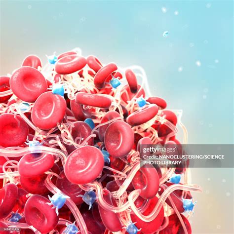 Blood Clot Illustration High-Res Vector Graphic - Getty Images