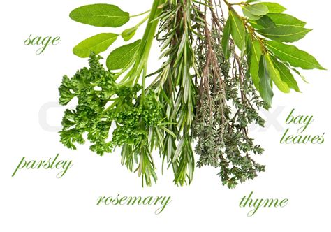 herbs rosemary, sage, bay leaves, parsley and thyme | Stock image ...