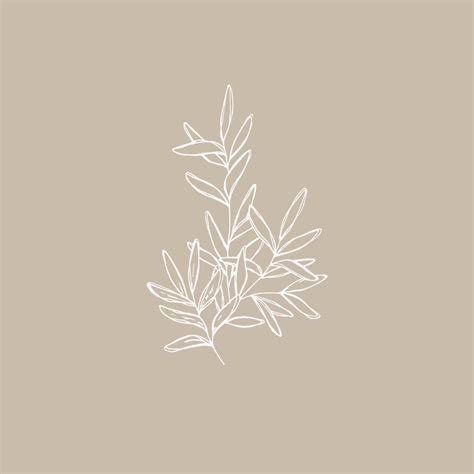 Example Icon Transparent 的图像结果