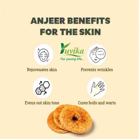 YUVIKA Anjeer Figs Selected - Afghanistan Afghani Anjir Dry Fruit ...