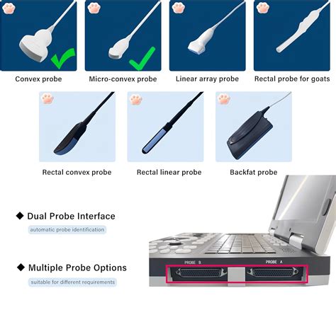 SUNBESTA N60 Portable Veterinary Ultrasound Machine, PC-Based India | Ubuy