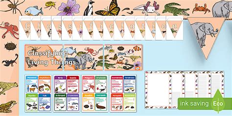 Classifying Living Things Display Pack - Science - Twinkl