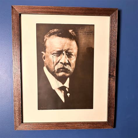 Theodore Roosevelt 的图像结果